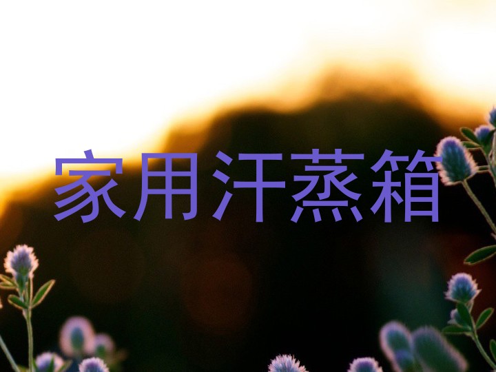 家用汗蒸箱