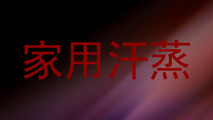 家用汗蒸