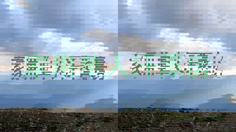 家用单人汗蒸房