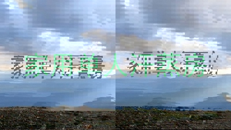 家用单人汗蒸房