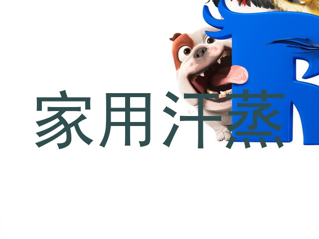 家用汗蒸