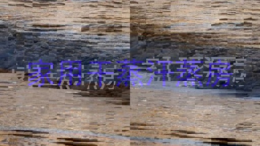 家用干蒸汗蒸房