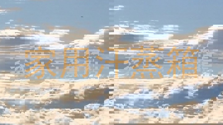 家用汗蒸箱