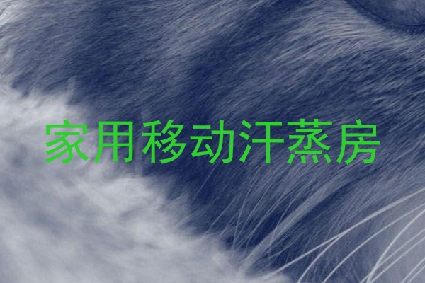 家用移动汗蒸房