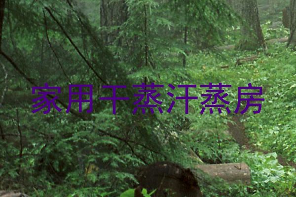 家用干蒸汗蒸房