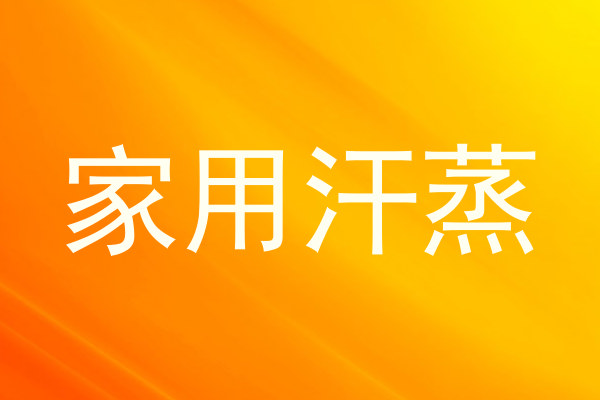 家用汗蒸