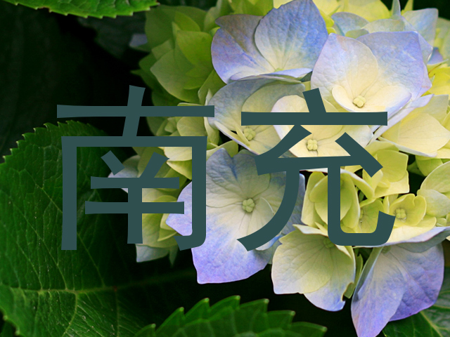 南充