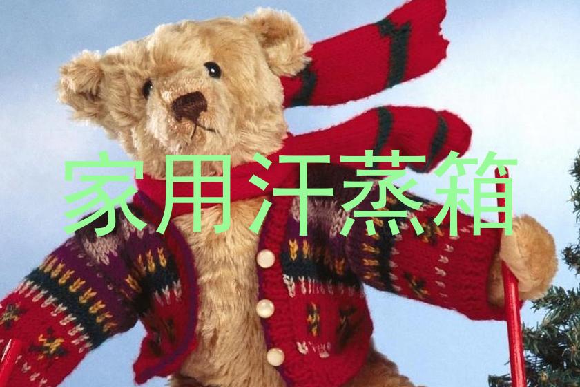 家用汗蒸箱