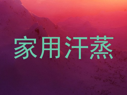 家用汗蒸