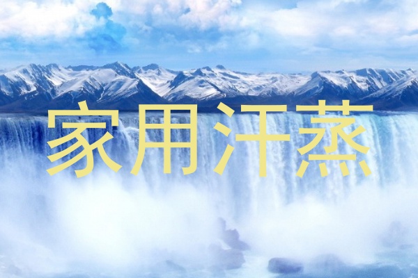家用汗蒸
