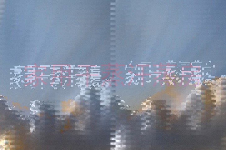 家用干蒸汗蒸房