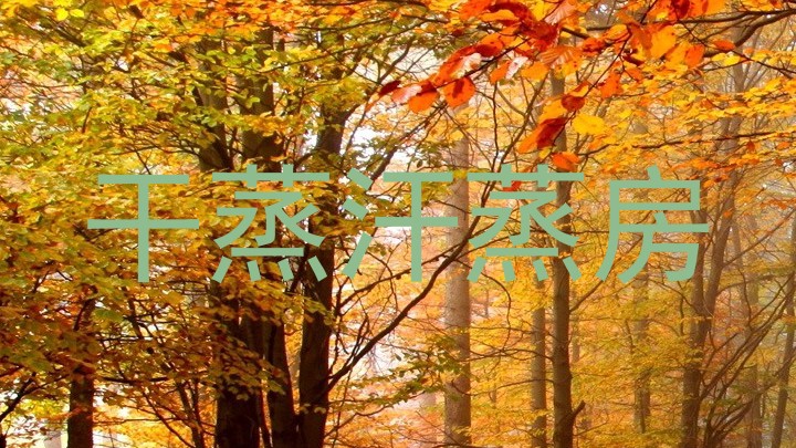 干蒸汗蒸房