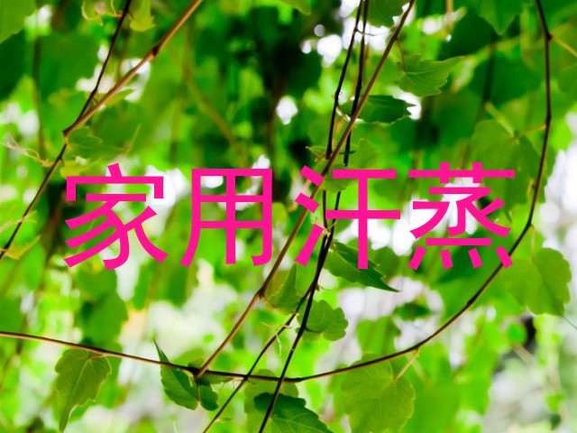 家用汗蒸