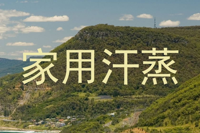 家用汗蒸