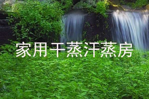家用干蒸汗蒸房
