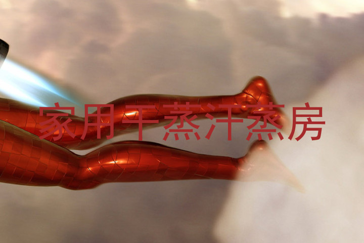 家用干蒸汗蒸房
