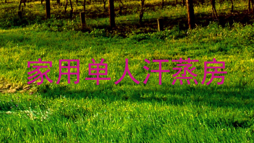 家用单人汗蒸房