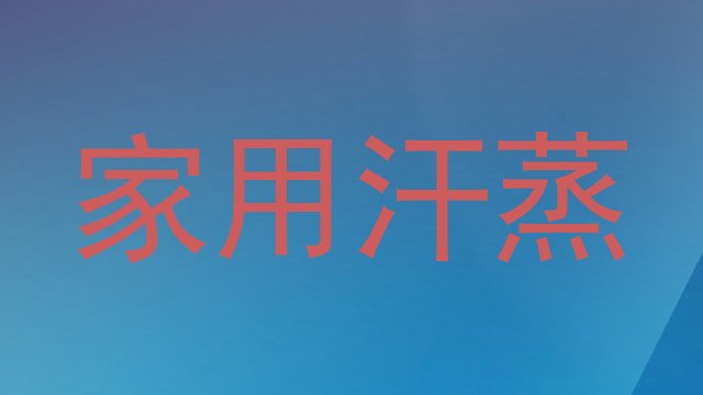 家用汗蒸