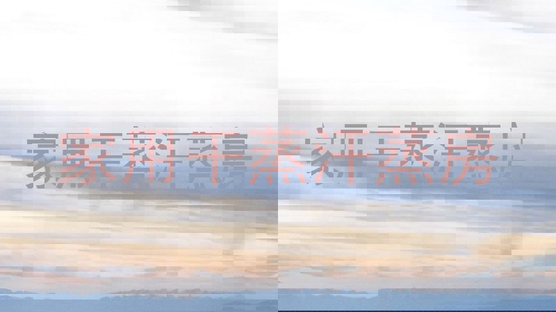 家用干蒸汗蒸房