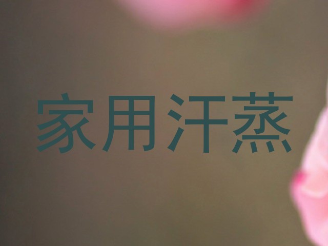 家用汗蒸