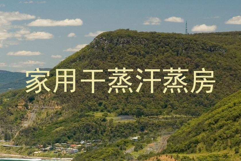 家用干蒸汗蒸房