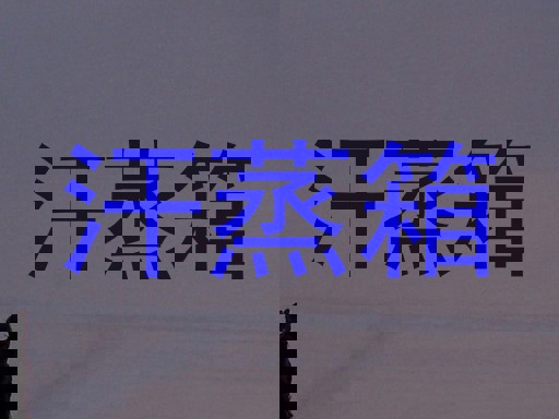 汗蒸箱