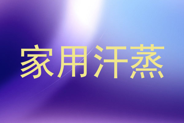 家用汗蒸