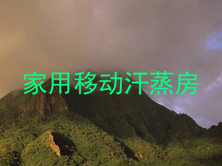 家用移动汗蒸房