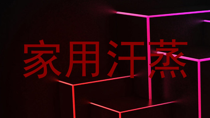 家用汗蒸