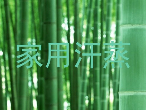 家用汗蒸