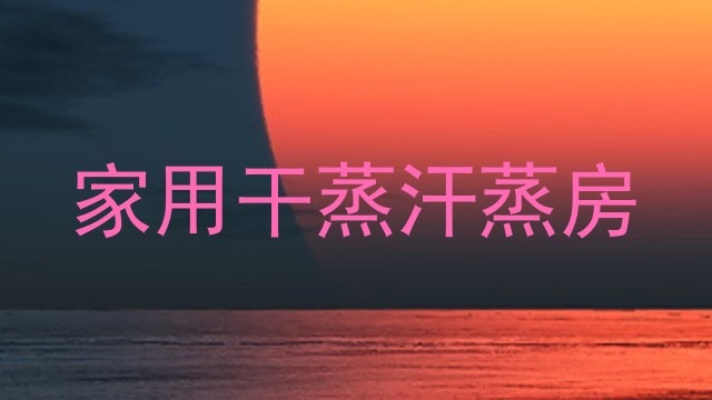家用干蒸汗蒸房