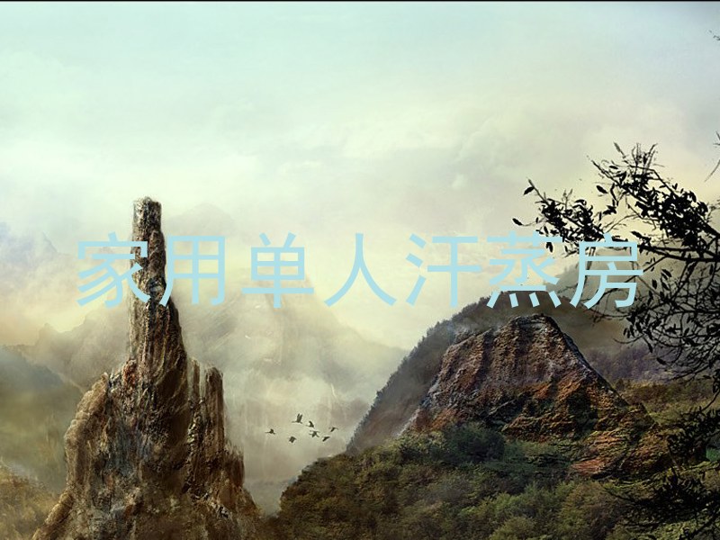 家用单人汗蒸房