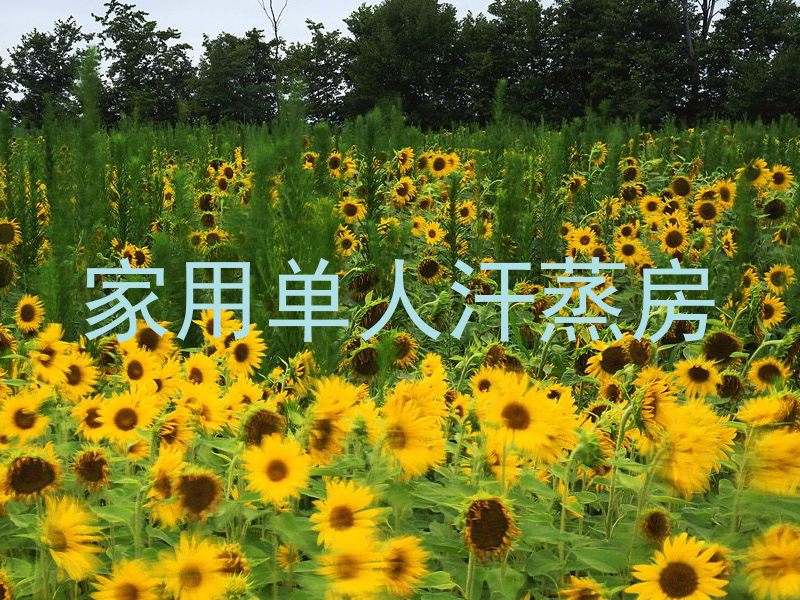 家用单人汗蒸房