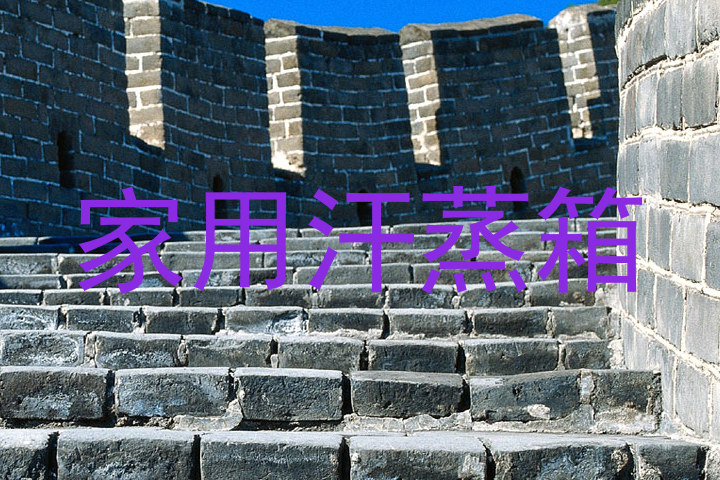 家用汗蒸箱