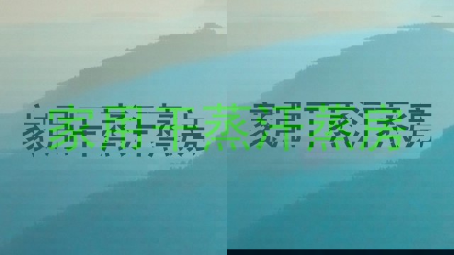 家用干蒸汗蒸房