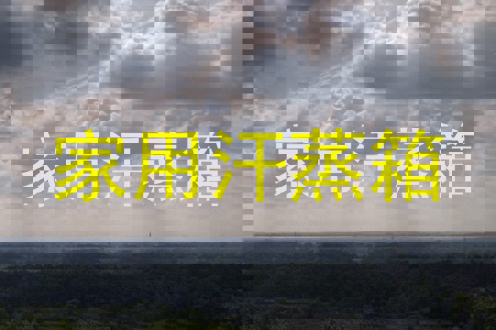 家用汗蒸箱