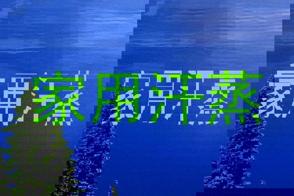 家用汗蒸