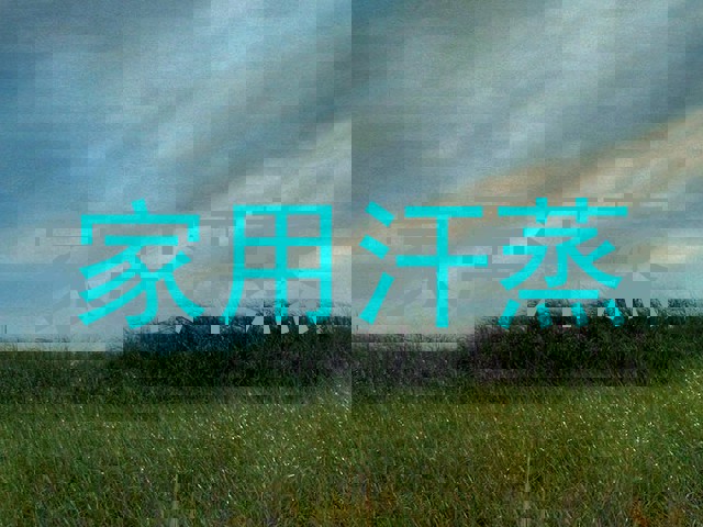家用汗蒸