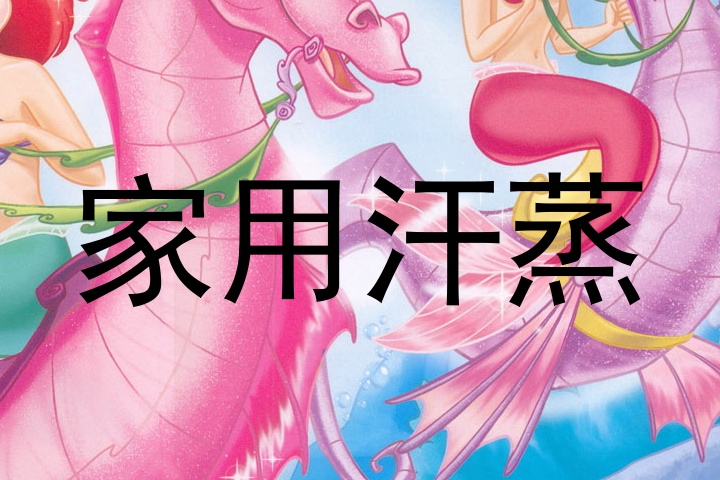 家用汗蒸