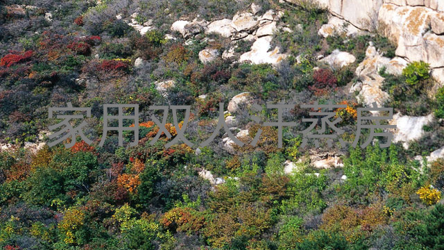 家用双人汗蒸房