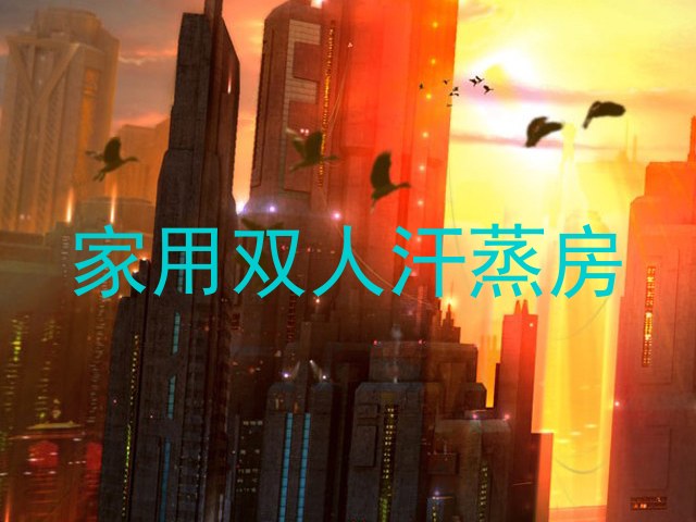 家用双人汗蒸房
