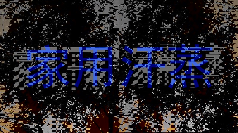 家用汗蒸