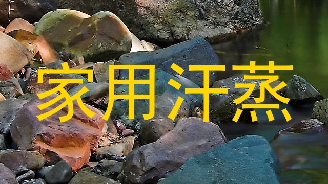 家用汗蒸