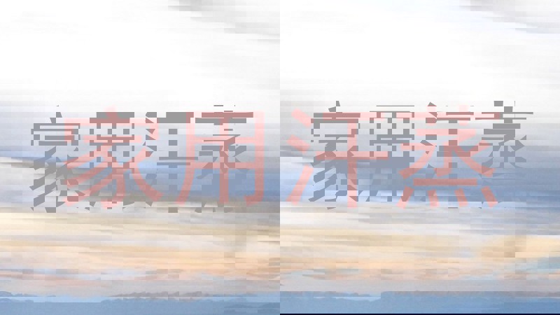 家用汗蒸