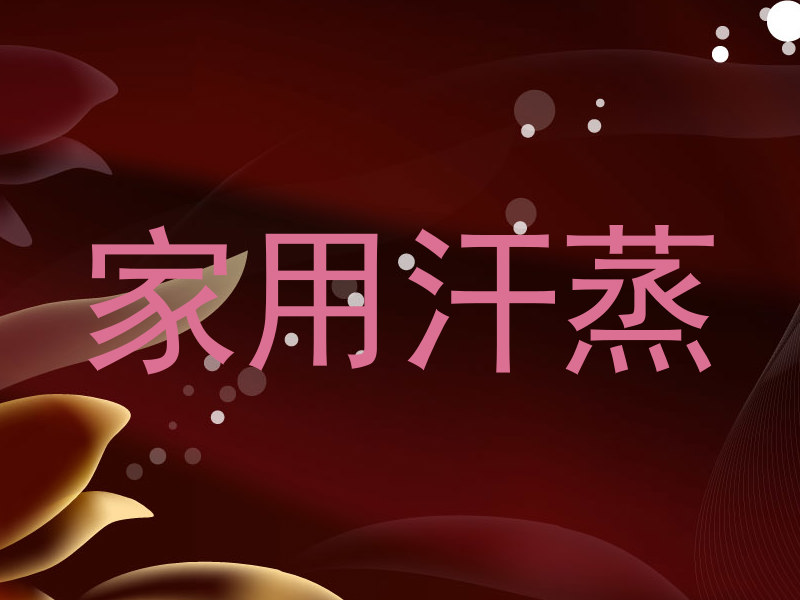 家用汗蒸