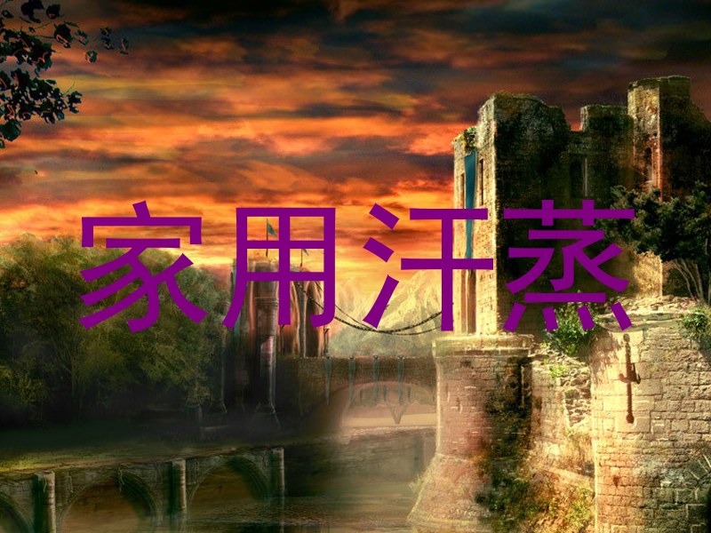 家用汗蒸