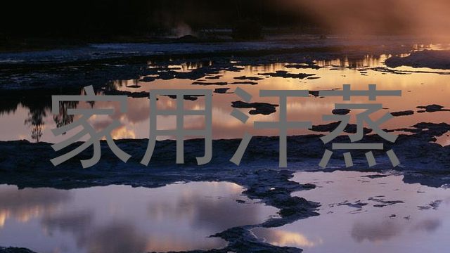 家用汗蒸