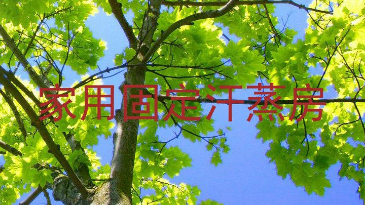 家用固定汗蒸房
