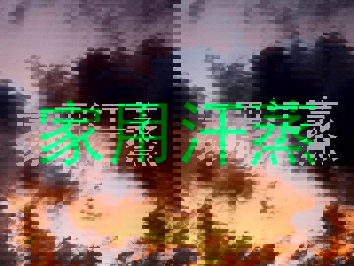 家用汗蒸
