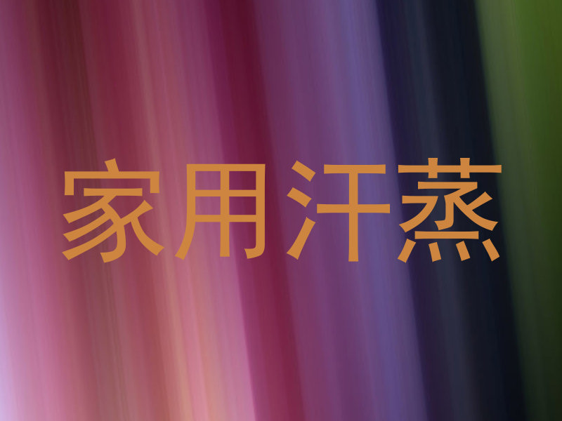 家用汗蒸